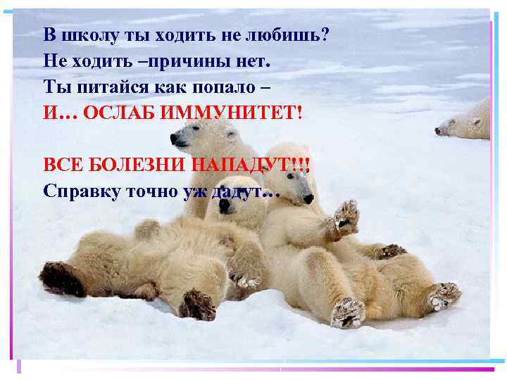 В школу ты ходить не любишь? Не ходить –причины нет. Ты питайся как попало