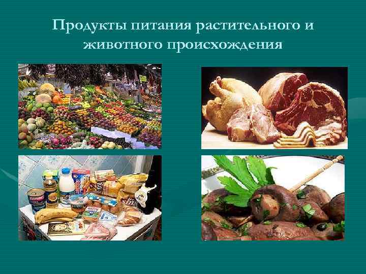 Продукты питания растительного и животного происхождения 