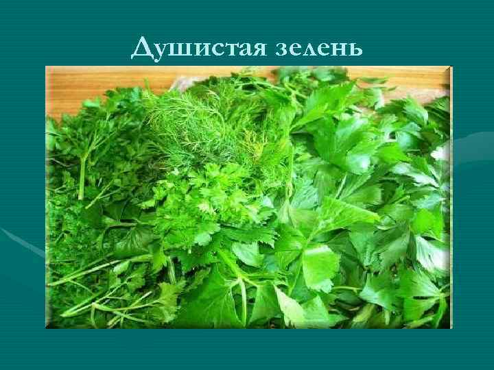 Душистая зелень 