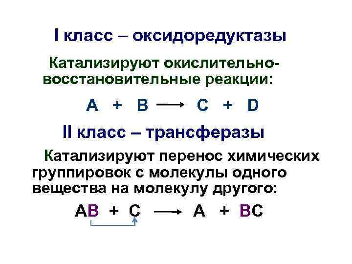 I класс – оксидоредуктазы Катализируют окислительновосстановительные реакции: A + B C + D II