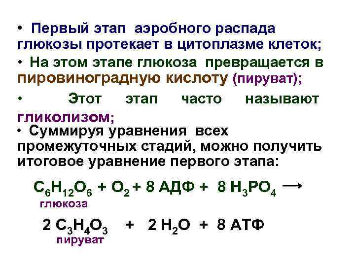  • Первый этап аэробного распада глюкозы протекает в цитоплазме клеток; • На этом