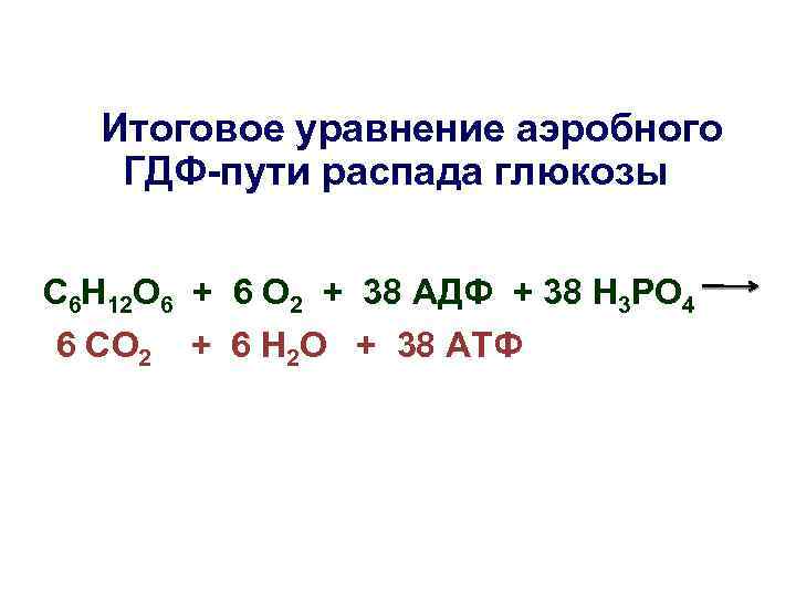 Итоговое уравнение аэробного ГДФ-пути распада глюкозы С 6 Н 12 О 6 + 6