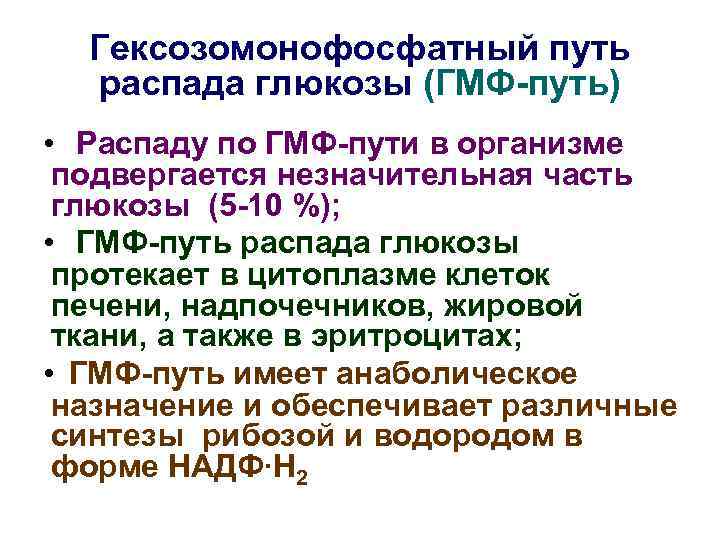 Гексозомонофосфатный путь распада глюкозы (ГМФ-путь) • Распаду по ГМФ-пути в организме подвергается незначительная часть