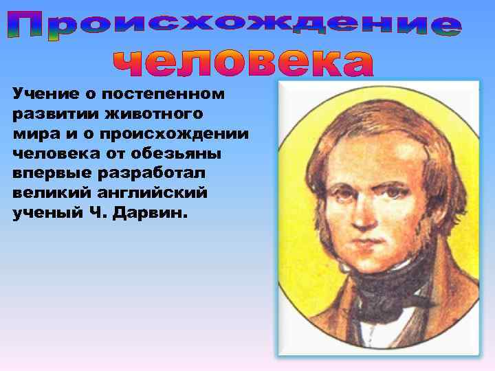 Учение о постепенном развитии животного мира и о происхождении человека от обезьяны впервые разработал