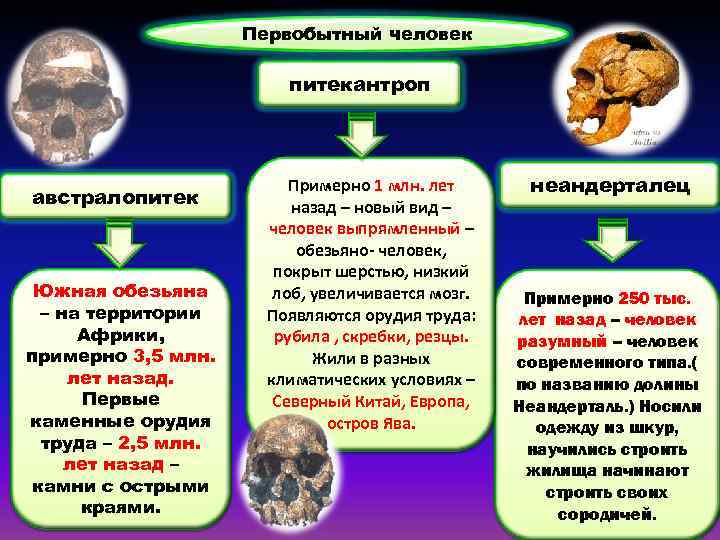 Первобытный человек питекантроп австралопитек Южная обезьяна – на территории Африки, примерно 3, 5 млн.