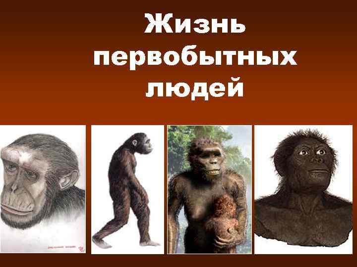 Жизнь первобытных людей 