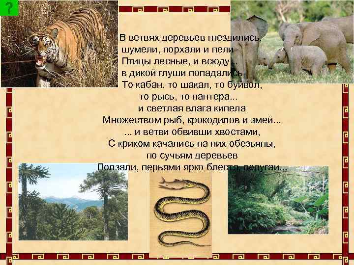 В ветвях деревьев гнездились, шумели, порхали и пели Птицы лесные, и всюду. . .