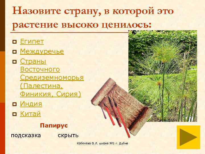 Назовите страну, в которой это растение высоко ценилось: p p p Египет Междуречье Страны