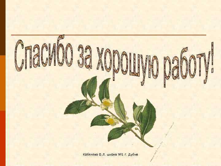 Кобелева О. Л. школа № 1 г. Дубна 