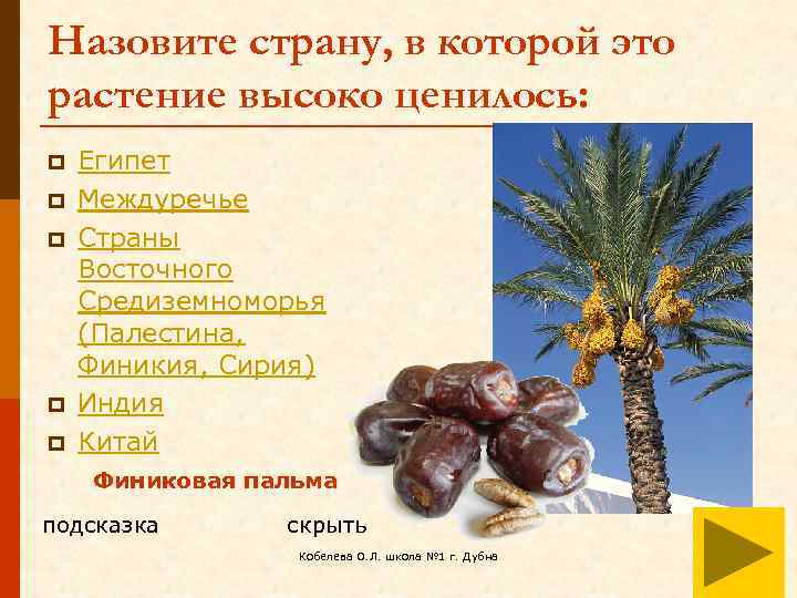 Назовите страну, в которой это растение высоко ценилось: p p p Египет Междуречье Страны