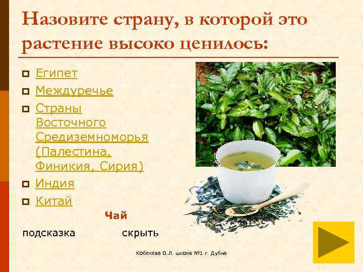 Назовите страну, в которой это растение высоко ценилось: p p p Египет Междуречье Страны