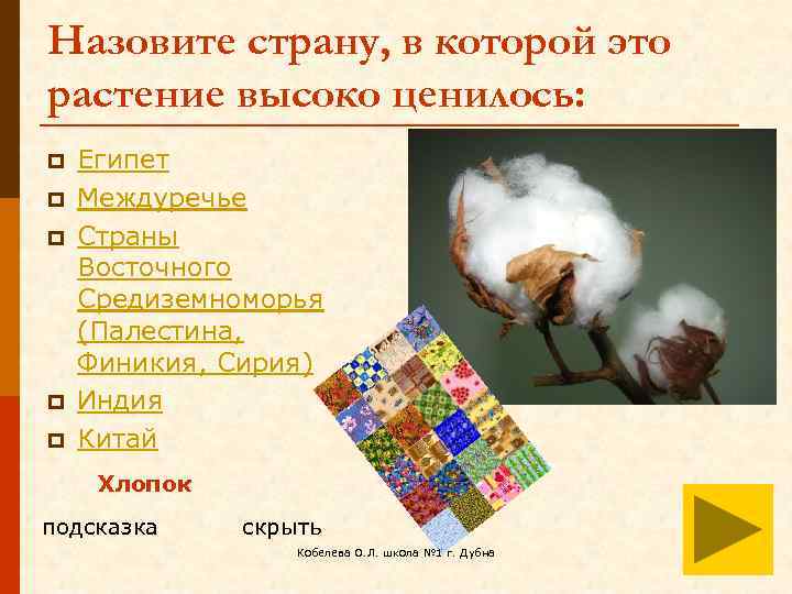 Назовите страну, в которой это растение высоко ценилось: p p p Египет Междуречье Страны