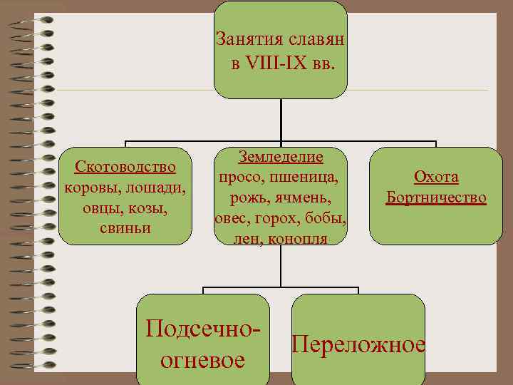 Занятия славян в VIII-IX вв. Скотоводство коровы, лошади, овцы, козы, свиньи Земледелие просо, пшеница,