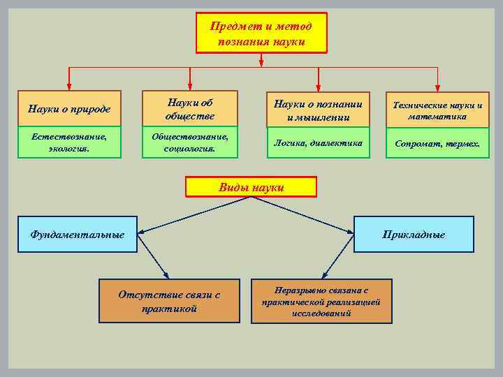 Предмет и метод познания науки Науки о природе Науки об обществе Науки о познании