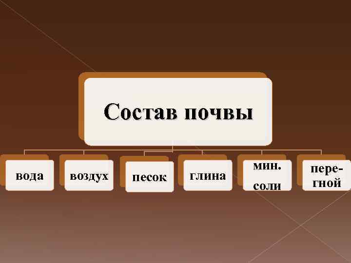 Состав почвы вода воздух песок глина мин. соли перегной 