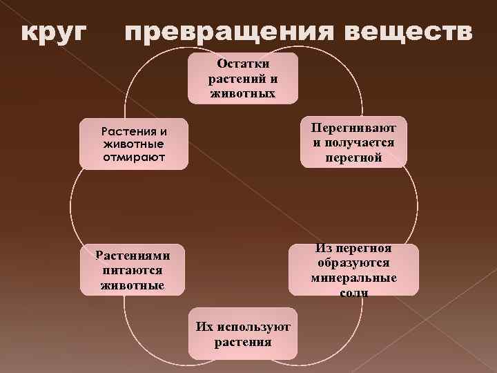 круг превращения веществ Остатки растений и животных Растения и животные отмирают Перегнивают и получается