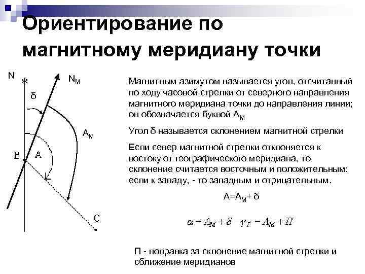 Линия ориентации