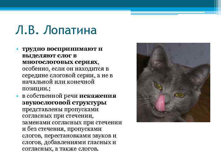 Л. В. Лопатина • трудно воспринимают и выделяют слог в многослоговых сериях, особенно, если