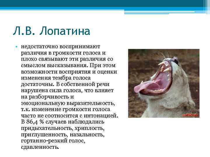 Л. В. Лопатина • недостаточно воспринимают различия в громкости голоса и плохо связывают эти