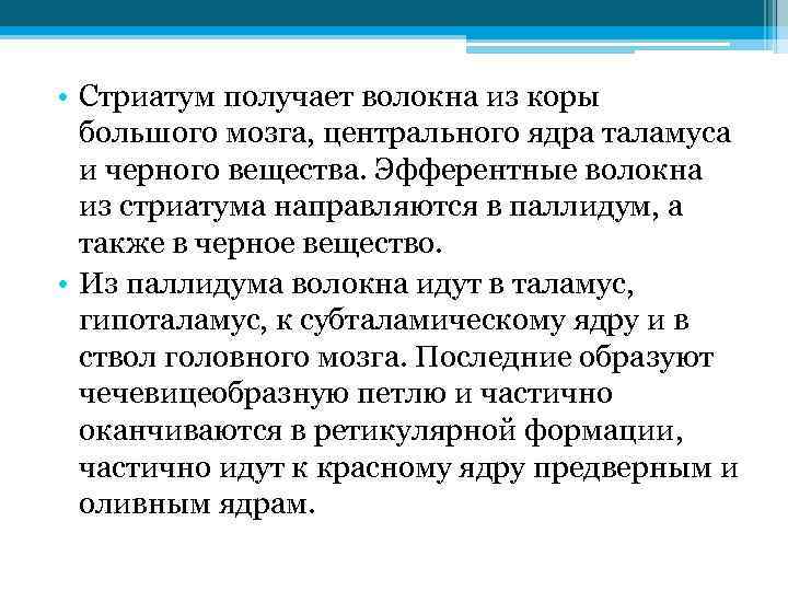  • Стриатум получает волокна из коры большого мозга, центрального ядра таламуса и черного