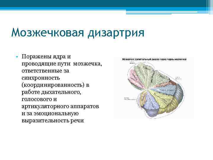 Мозжечковая дизартрия презентация