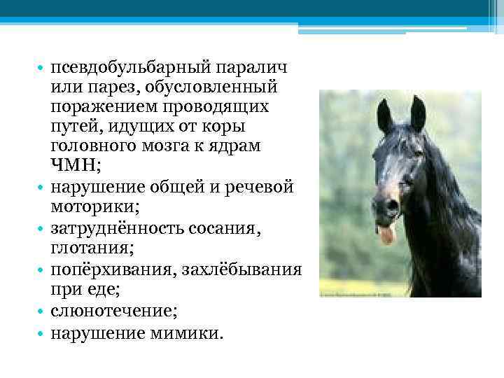  • псевдобульбарный паралич или парез, обусловленный поражением проводящих путей, идущих от коры головного