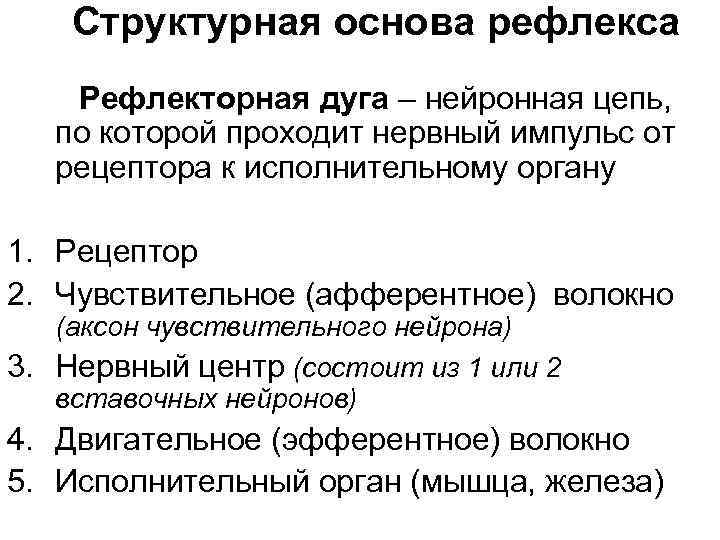Структурная основа рефлекса Рефлекторная дуга – нейронная цепь, по которой проходит нервный импульс от