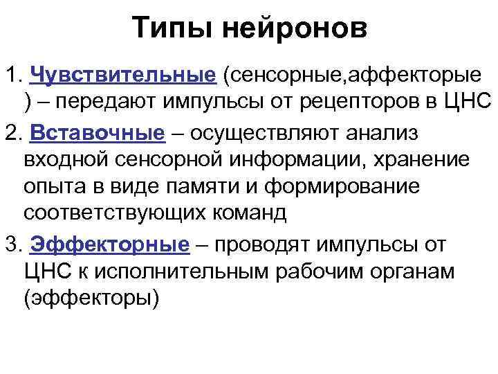 Типы нейронов 1. Чувствительные (сенсорные, аффекторые ) – передают импульсы от рецепторов в ЦНС