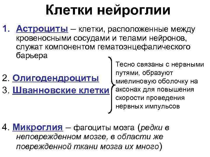 Клетки нейроглии