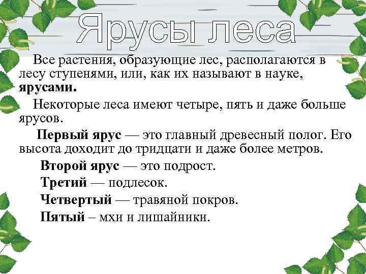 Все растения, образующие лес, располагаются в лесу ступенями, или, как их называют в науке,