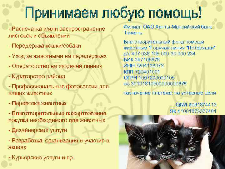 - Распечатка и/или распространение листовок и объявлений - Передержка кошки/собаки - Уход за животными