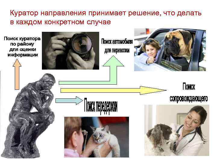 Куратор направления принимает решение, что делать в каждом конкретном случае 