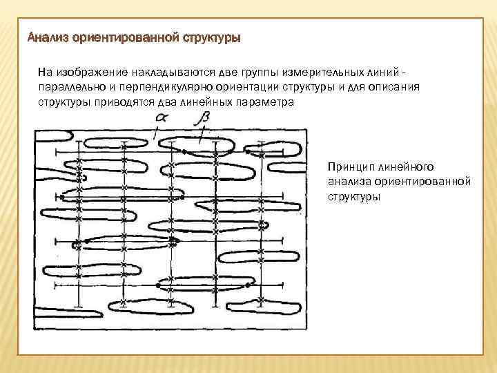 Анализ ориентированной структуры На изображение накладываются две группы измерительных линий параллельно и перпендикулярно ориентации