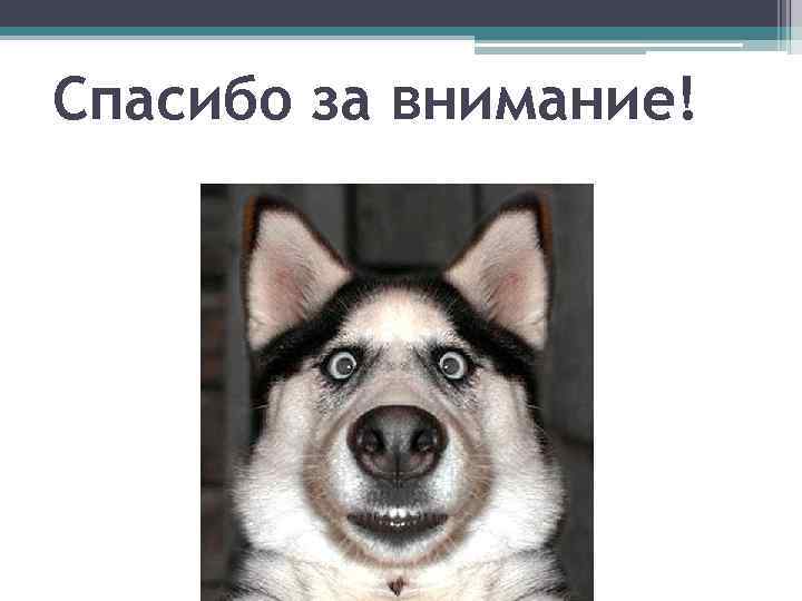 Спасибо за внимание! 