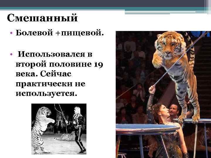 Смешанный • Болевой +пищевой. • Использовался в второй половине 19 века. Сейчас практически не