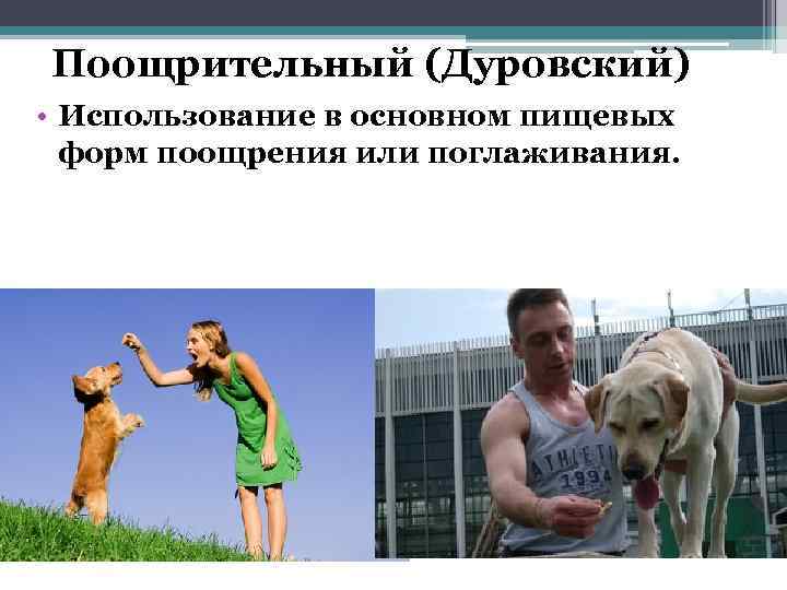 Поощрительный (Дуровский) • Использование в основном пищевых форм поощрения или поглаживания. 