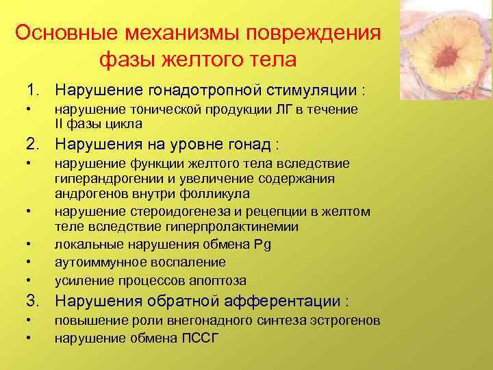 Основные механизмы повреждения фазы желтого тела 1. Нарушение гонадотропной стимуляции : • нарушение тонической