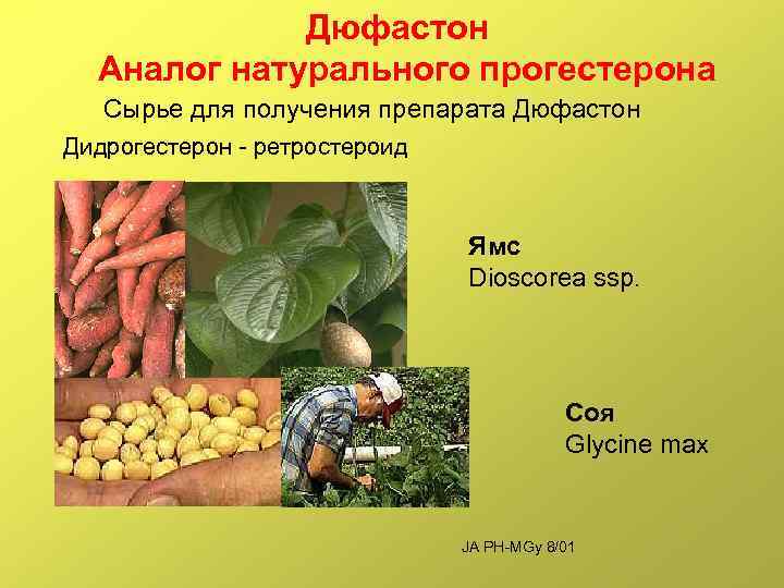 Дюфастон Аналог натурального прогестерона Сырье для получения препарата Дюфастон Дидрогестерон - ретростероид Ямс Dioscorea