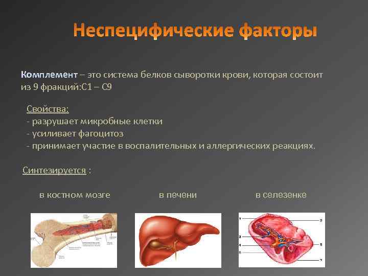Комплемент – это система белков сыворотки крови, которая состоит из 9 фракций: С 1