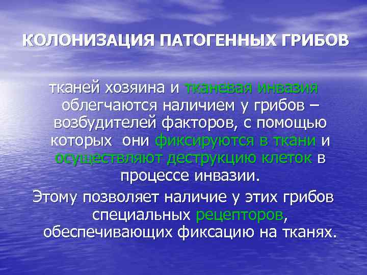 КОЛОНИЗАЦИЯ ПАТОГЕННЫХ ГРИБОВ тканей хозяина и тканевая инвазия облегчаются наличием у грибов – возбудителей