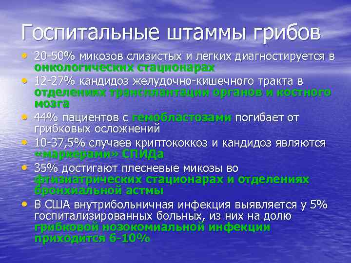Госпитальные штаммы грибов • 20 -50% микозов слизистых и легких диагностируется в • •