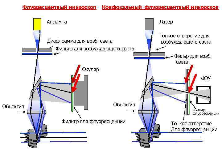 Объектив микроскопа схема