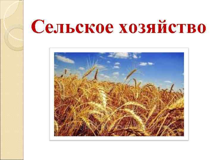 Сельское хозяйство 