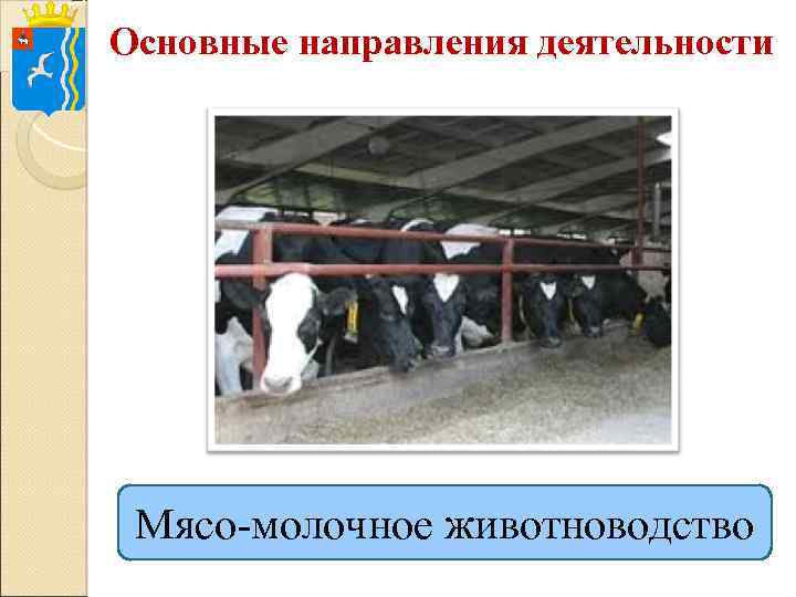 Основные направления деятельности Мясо-молочное животноводство 