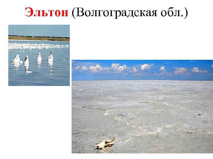 Эльтон (Волгоградская обл. ) 