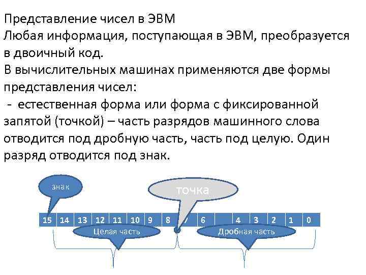 Формы представления чисел