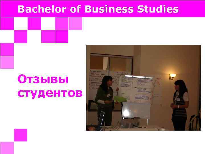 Bachelor of Business Studies Отзывы студентов 
