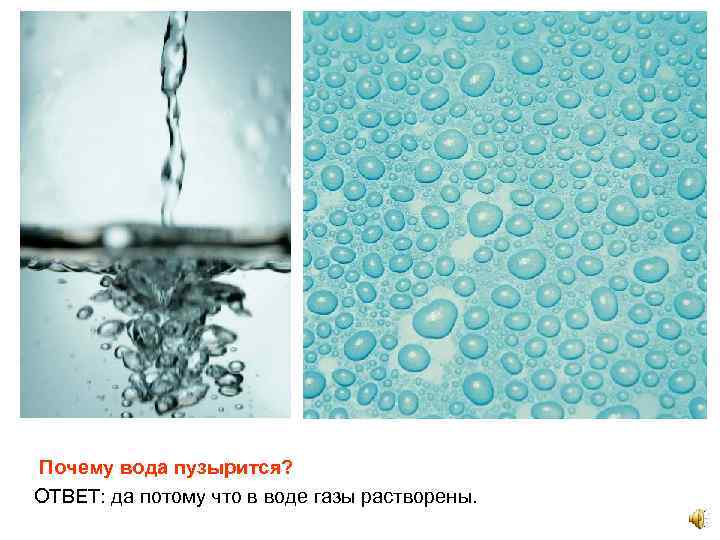 Почему вода пузырится? ОТВЕТ: да потому что в воде газы растворены. 