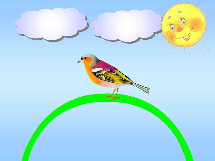 красн ый жёлты й синий 