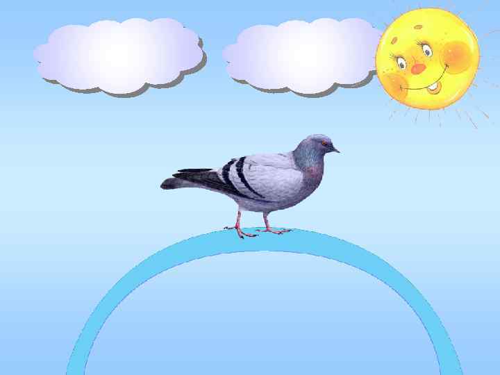 голубо й оранжев ый зелён ый 